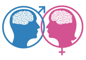 men and women are different, brain, 